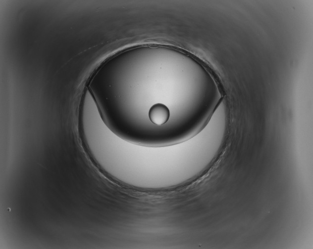 X0000088081504200705251357