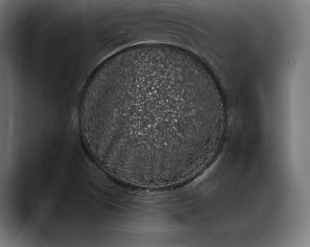 X0000088081505200705251358