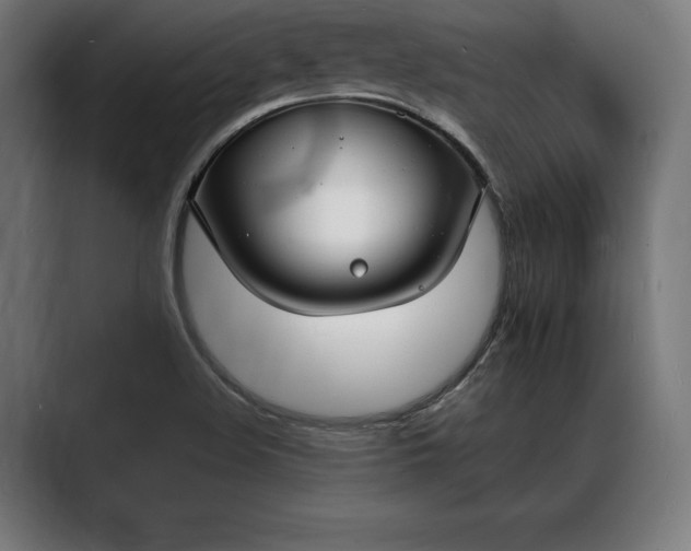 X0000088081508200705251358