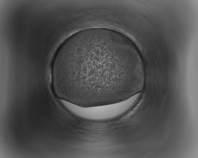 X0000088081509200705251358