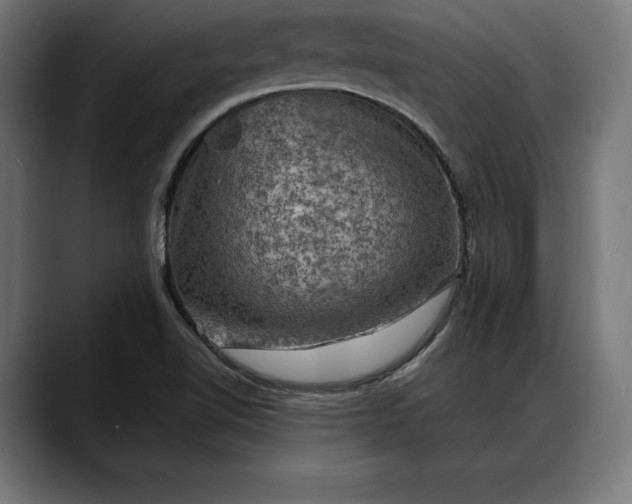 X0000088081510200705251358