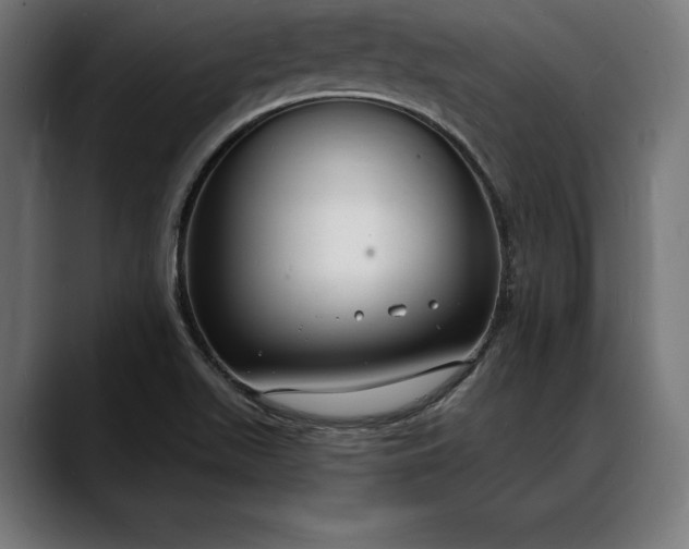 X0000088081511200705251358