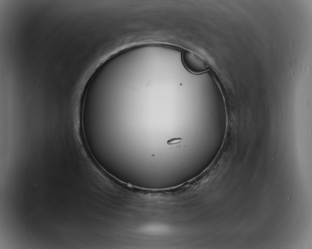 X0000088081512200705251358