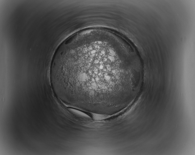 X0000088081513200705251358