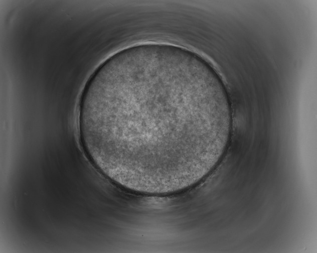 X0000088081514200705251358
