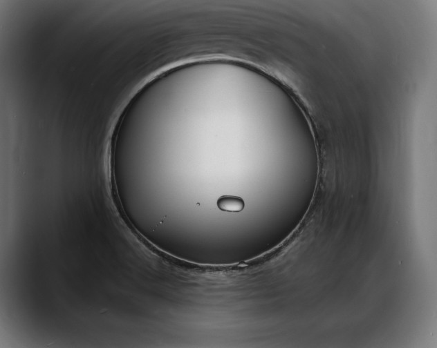 X0000088081516200705251358