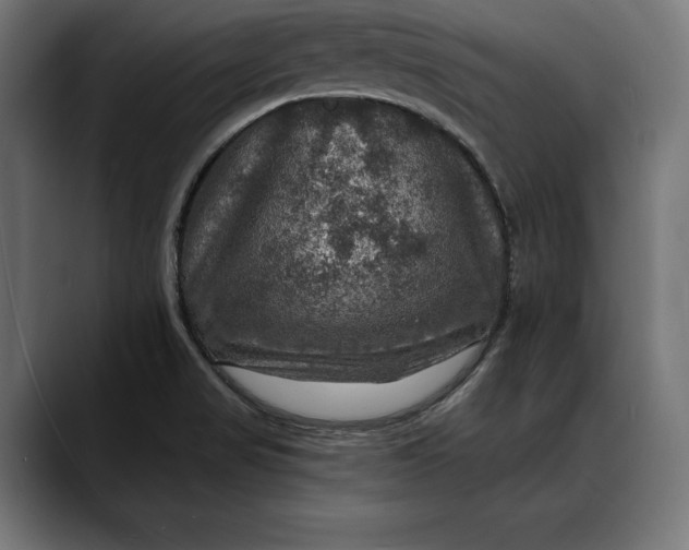 X0000088081517200705251358