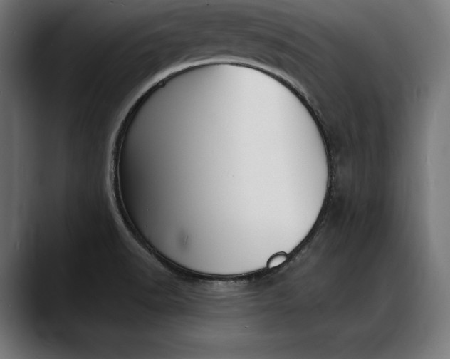 X0000088081518200705251358