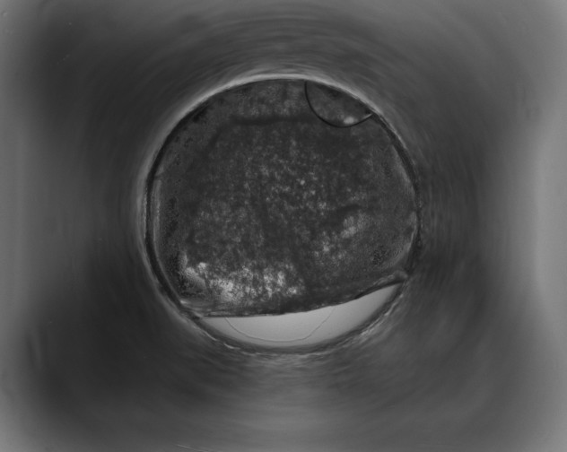 X0000088081519200705251358