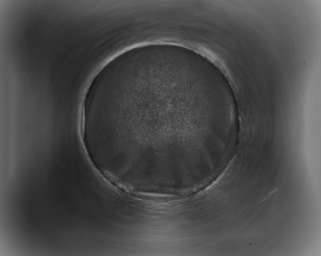 X0000088081520200705251358