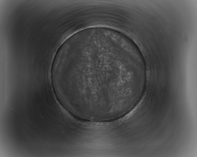 X0000088081521200705251358