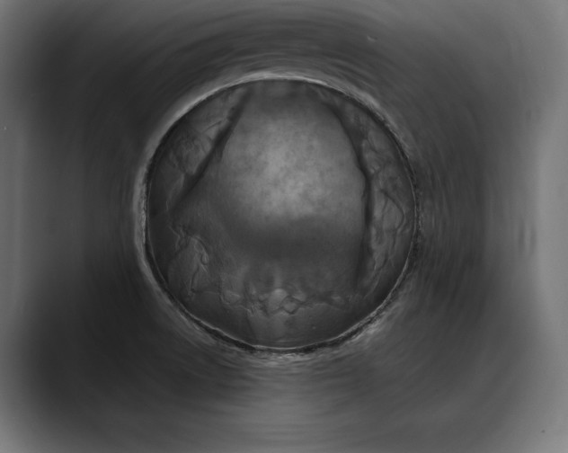 X0000088081522200705251358