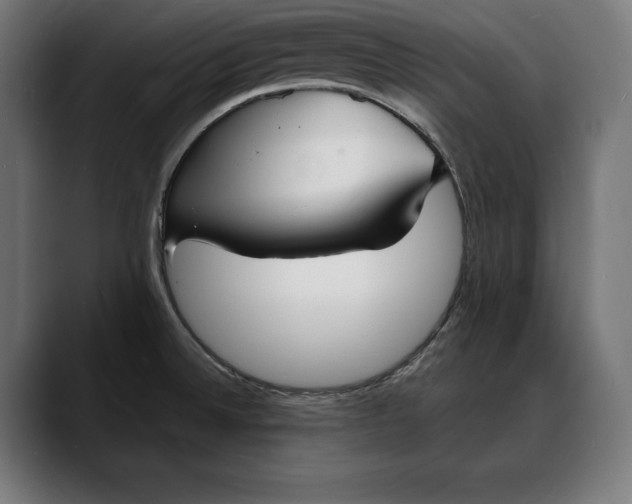 X0000088081524200705251358