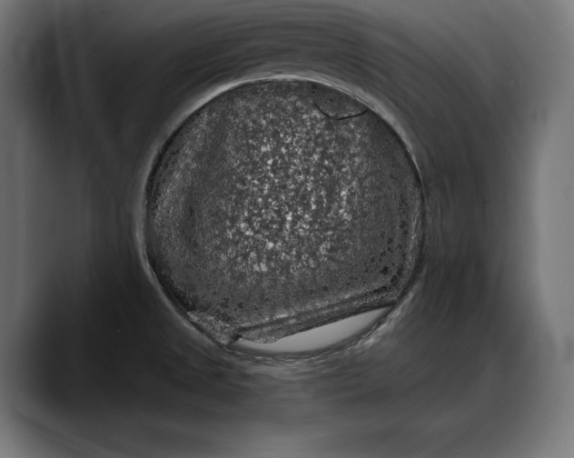 X0000088081525200705251358