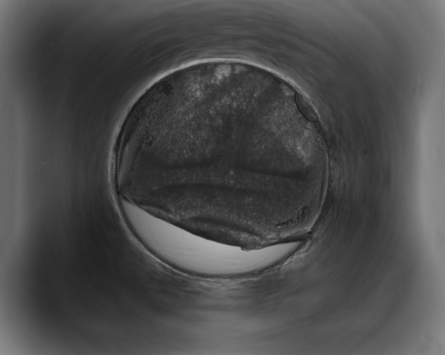 X0000088081527200705251358