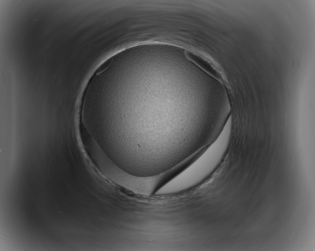 X0000088081530200705251358