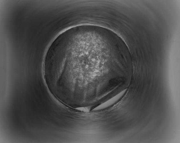 X0000088081531200705251358