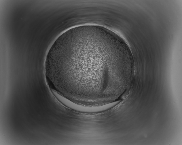 X0000088081532200705251358