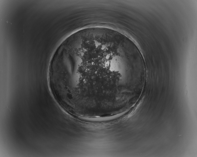 X0000088081533200705251358