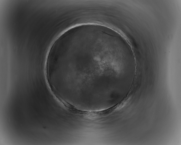 X0000088081536200705251358