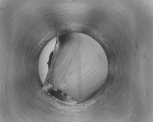 X0000088080027200706011550
