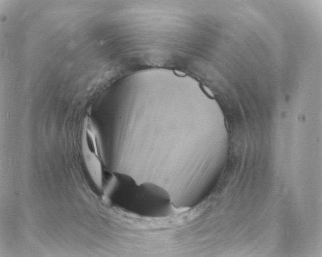 X0000088080031200706011550
