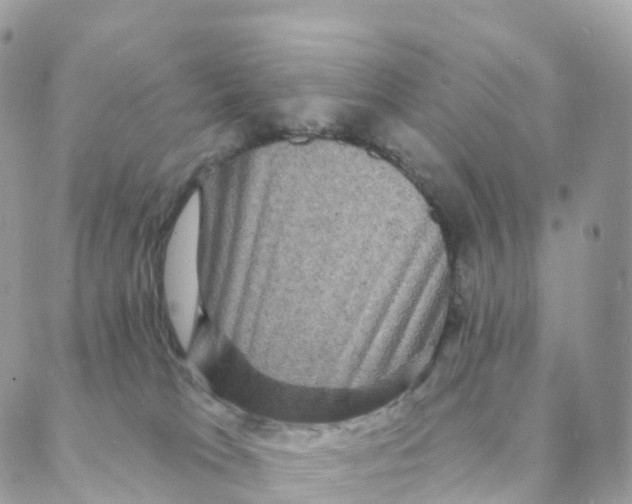 X0000088080037200706011550