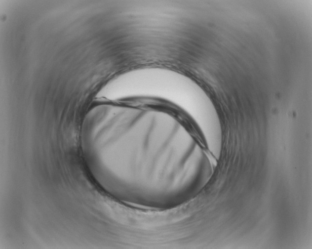 X0000088080039200706011549