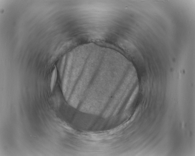 X0000088080041200706011549