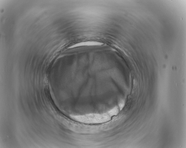 X0000088080048200706011549