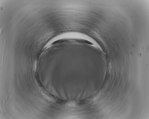 X0000088080076200706011549
