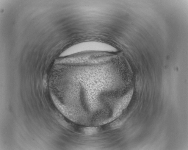 X0000088080085200706011549