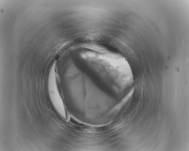 X0000088080127200706011548