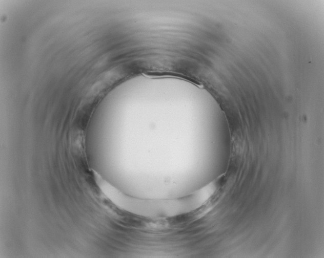 X0000088080141200706011548