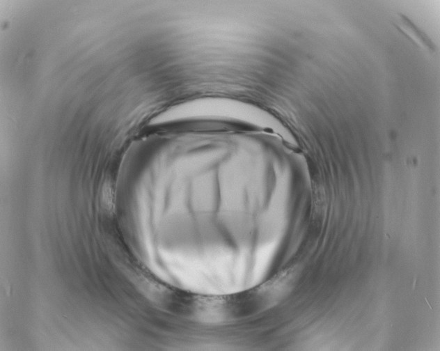 X0000088080143200706011548