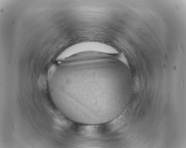 X0000088080184200706011548