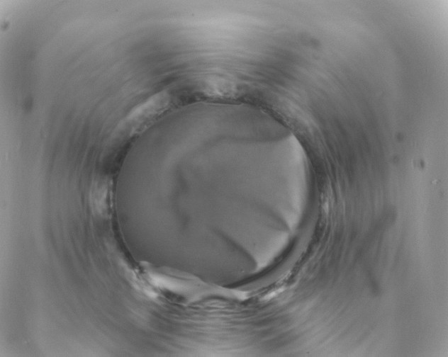 X0000088080233200706011546