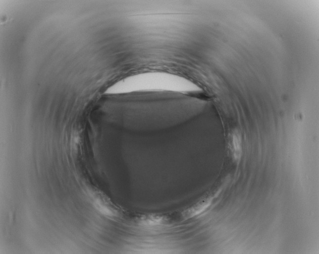 X0000088080235200706011546
