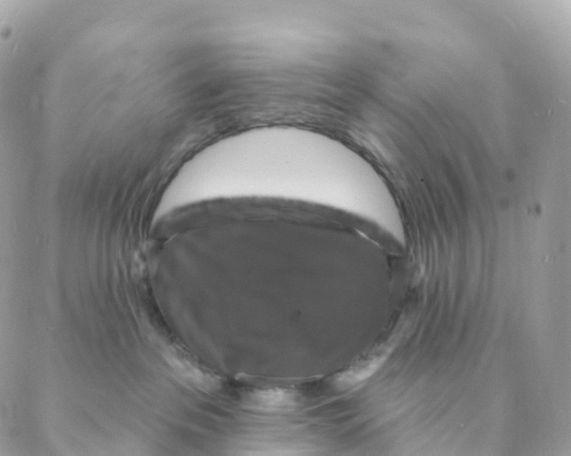 X0000088080237200706011546