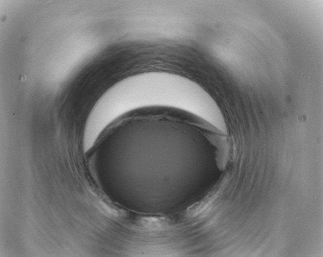 X0000088080239200706011546