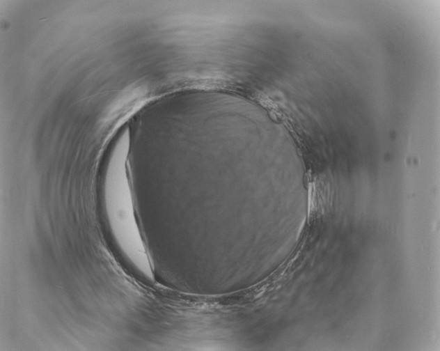 X0000088080243200706011545