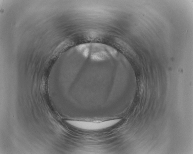 X0000088080266200706011546