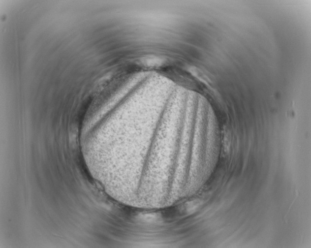 X0000088080283200706011546
