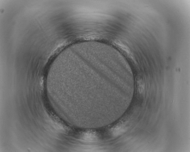 X0000088080308200706011545