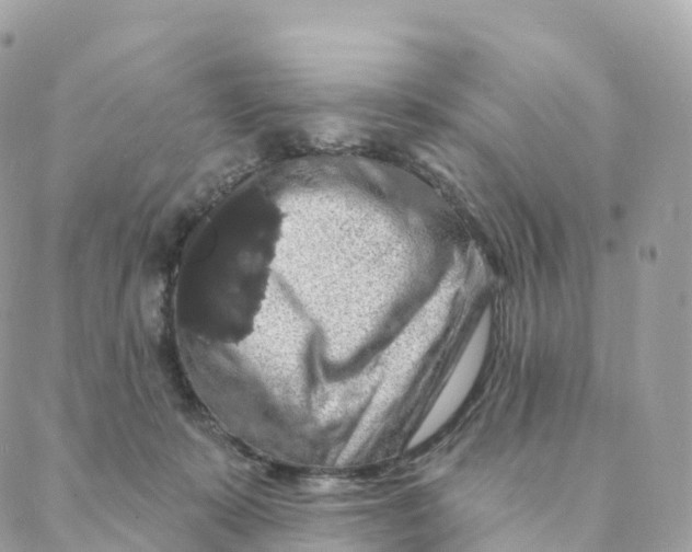X0000088080319200706011545