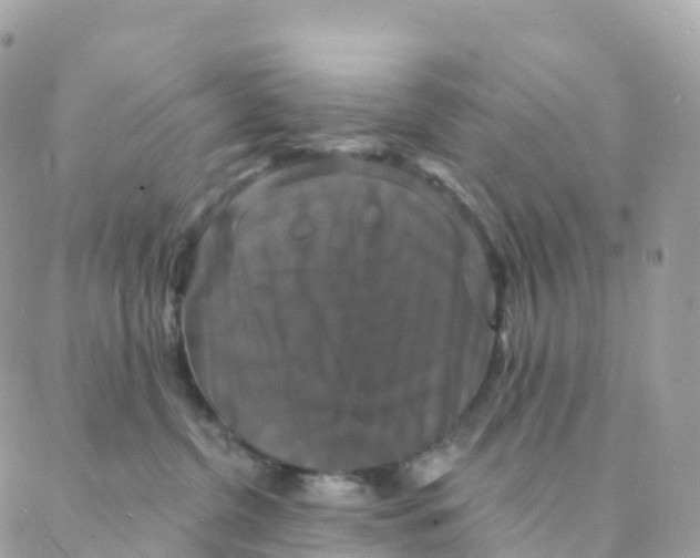 X0000088080380200706011545