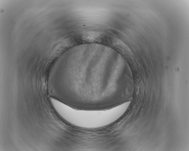 X0000088080420200706011543