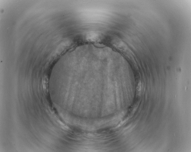 X0000088080424200706011543