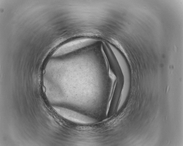 X0000088080435200706011542