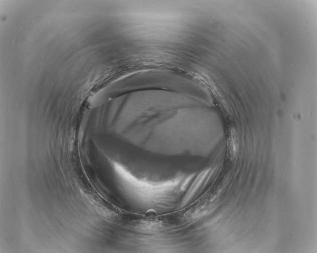 X0000088080458200706011543